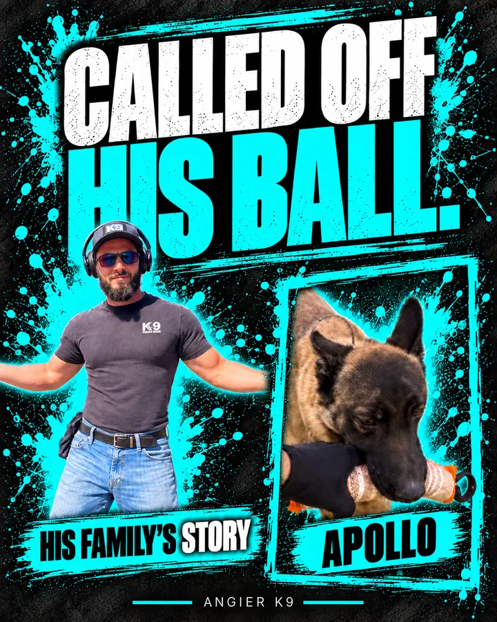 Angier K9 cover for Apollo the Sharkie’s family story