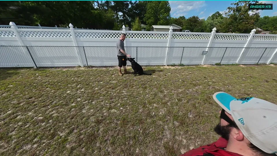Bandit’s owner practising with him beside a white fence while Kelton coaches
