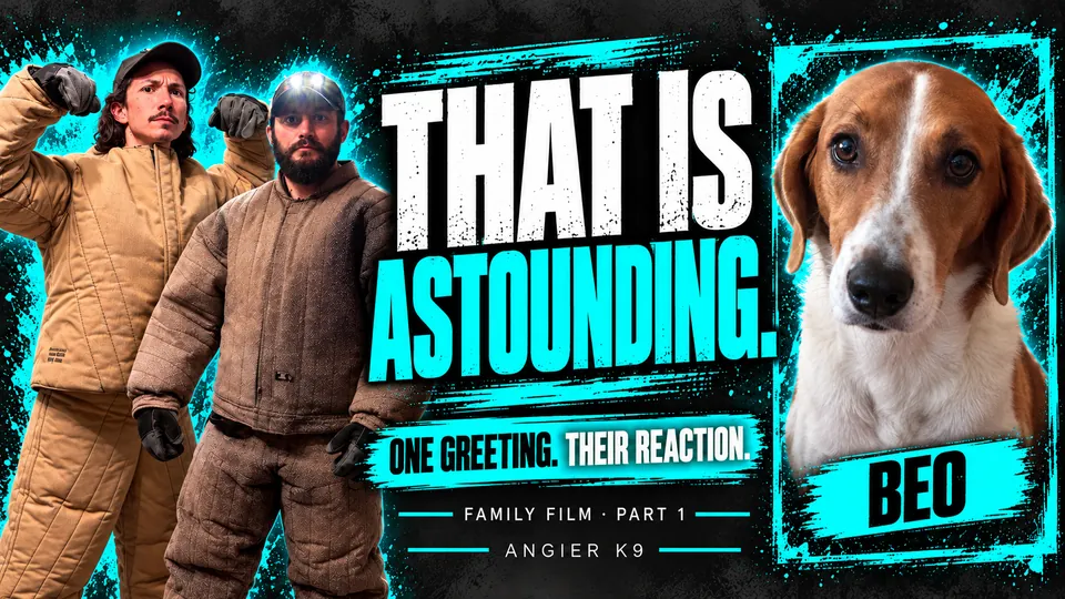 Angier K9 cover for Beo’s family film, part 1