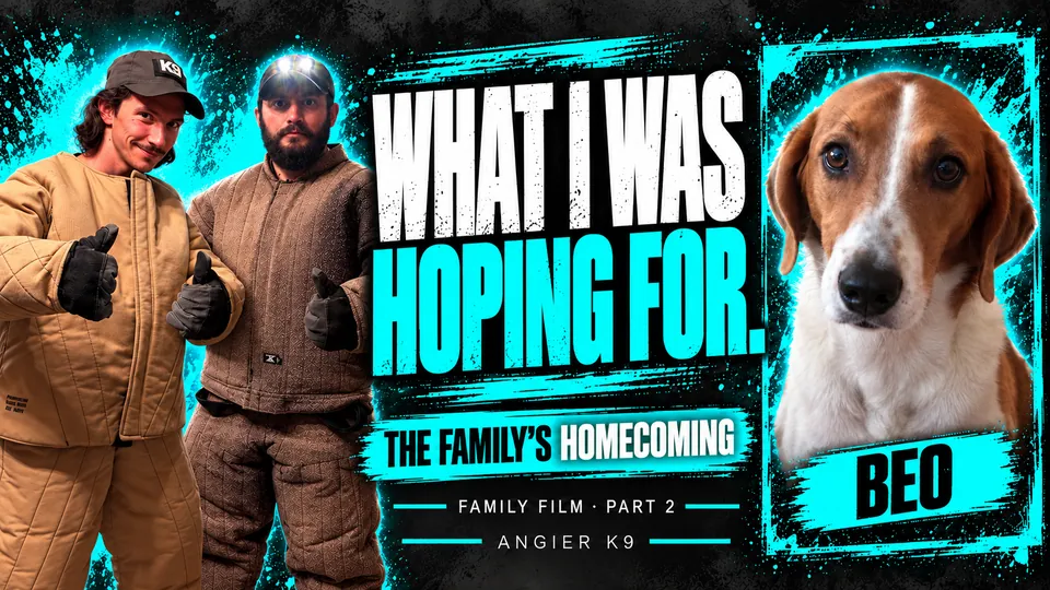 Angier K9 cover for Beo’s family film, part 2: “What I was hoping for. The family’s homecoming.”