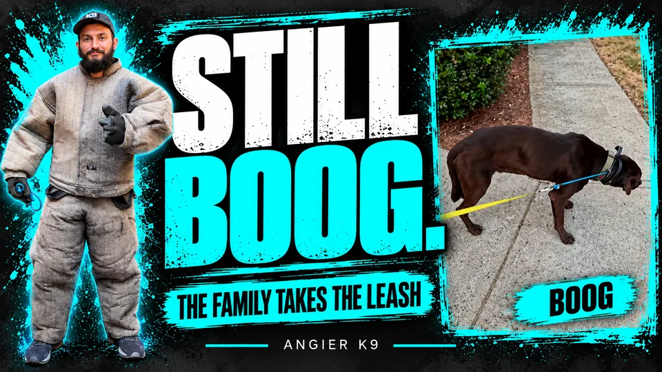 Angier K9 cover for Boog’s family film