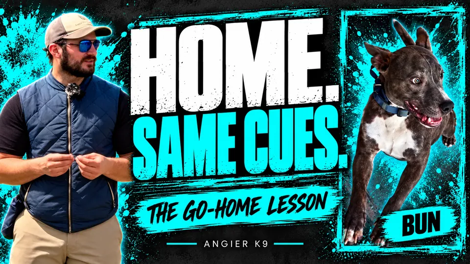 Angier K9 cover for Bun’s go-home film