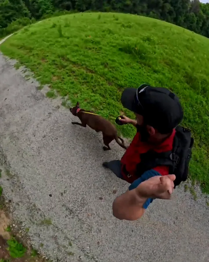 Finn, a brown dog, walking with his trainer on a paved path beside a grassy hill