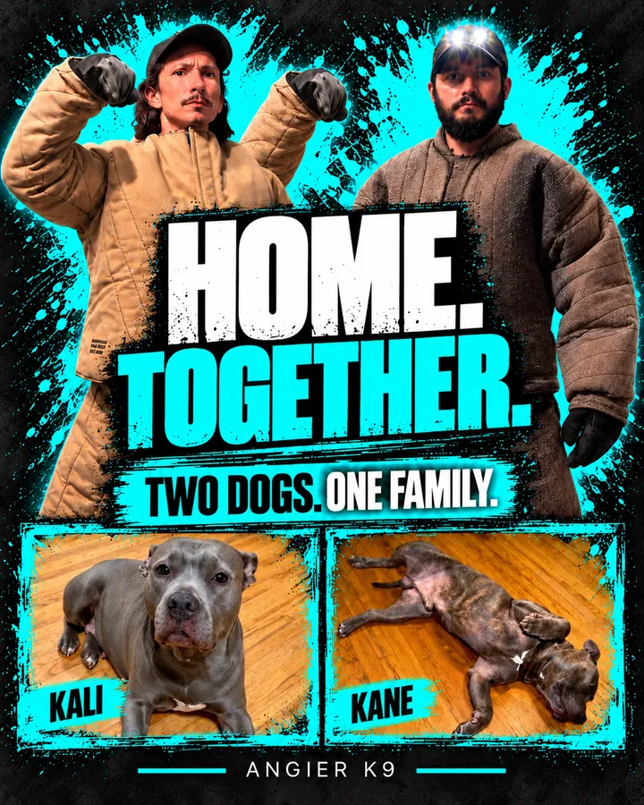 Angier K9 cover for Kali & Kane’s family story
