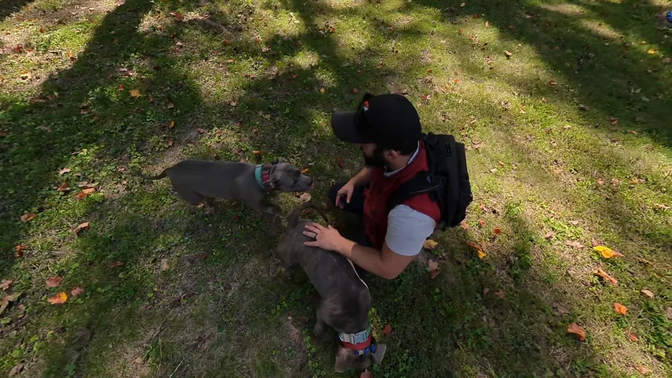Kali walking in as their trainer kneels in the backyard and pets Kane, at the go-home lesson