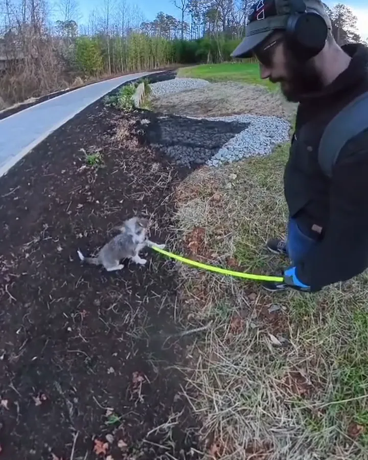 Oscar, a small grey-and-white terrier mix, holding a down on a yellow leash beside his trainer on a park path