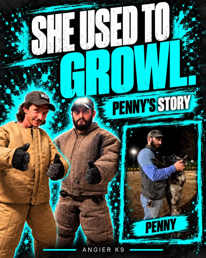 Angier K9 cover for Penny’s family story