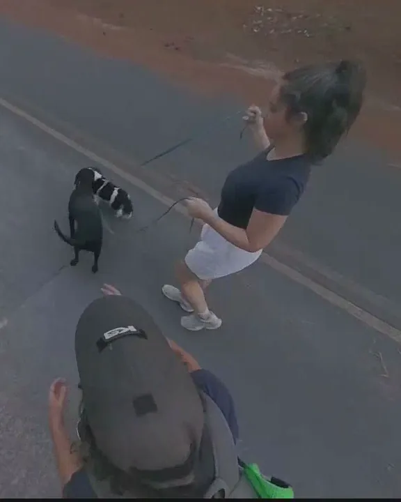 Pepper, a black Lab, and Rosa, a small black-and-white dog, walking on leads beside their owner during a lesson