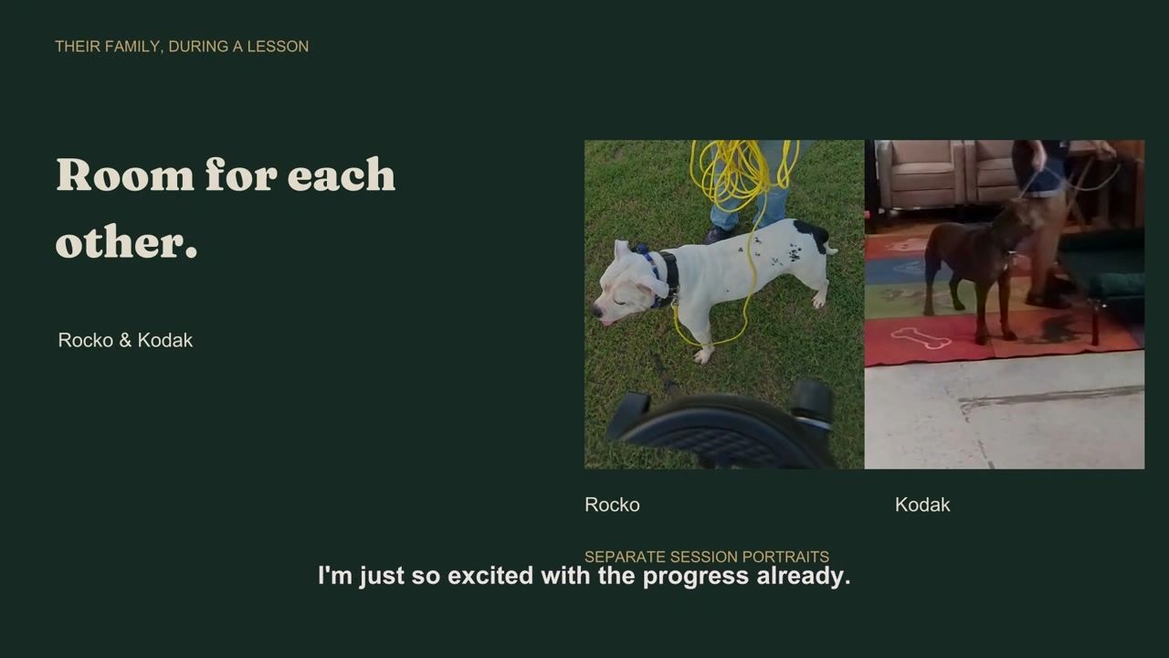 Room for Each Other film poster with Rocko and Kodak pictured separately
