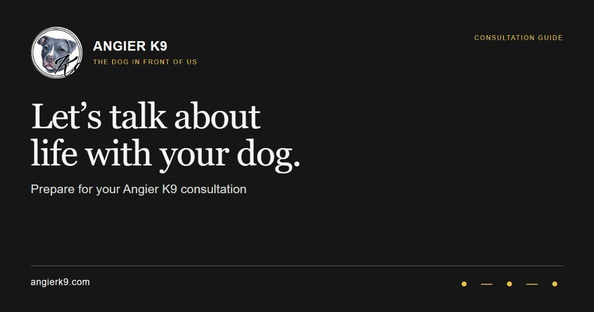 Angier K9 consultation guide: Let’s talk about life with your dog.