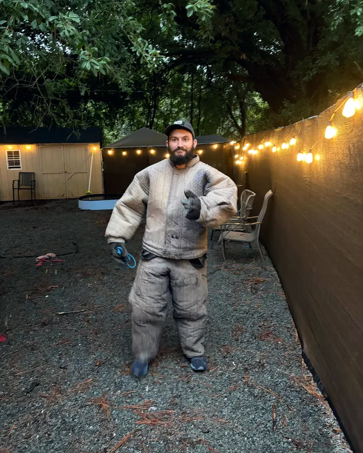 A decoy in a padded bite suit in a backyard training area at dusk, string lights overhead