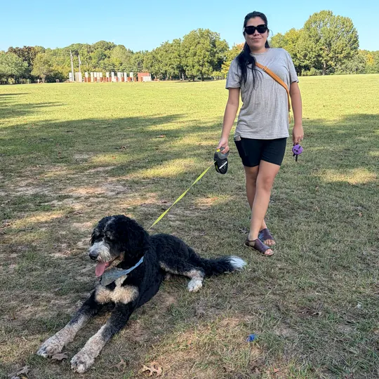 Claudia walking in a park while a black-and-white doodle holds a down on a long line