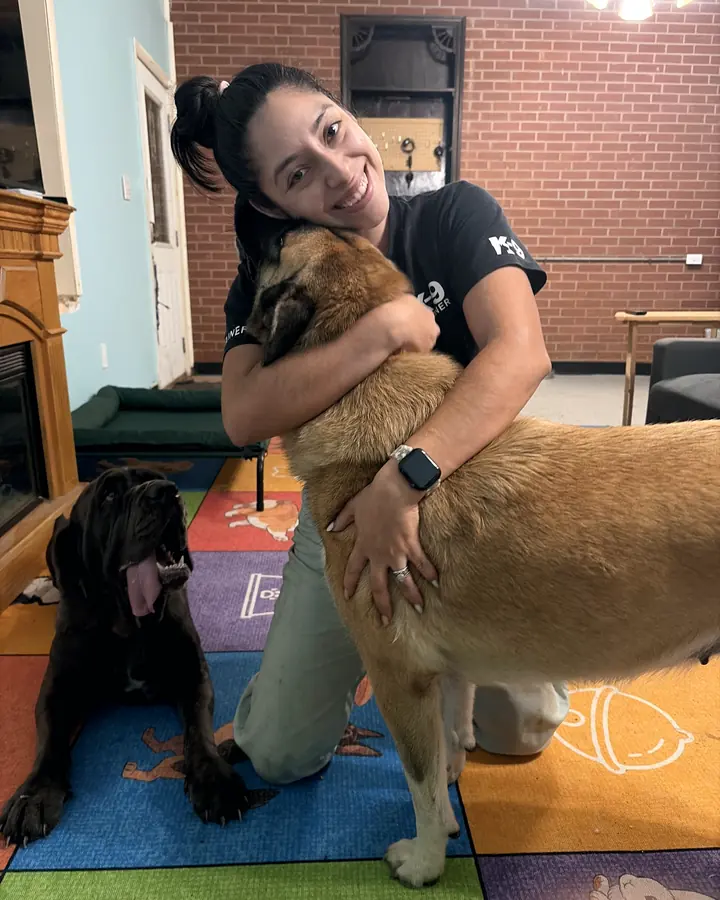 Gemma hugging a large fawn dog in the training room