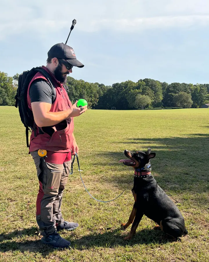 Kelton Azuara-Walker, Co-owner and Head Trainer, standing in a park with a ball in hand while a Doberman sits and watches him